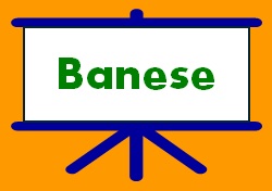Concursos Banese
